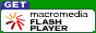 FlashvC[_E[hł܂